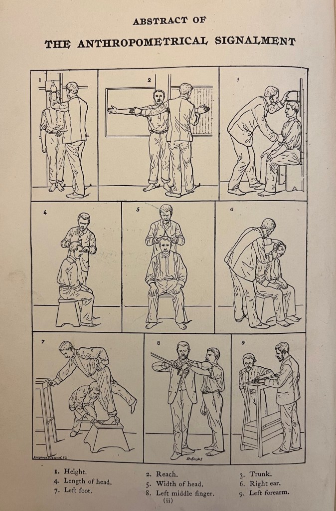 sketches demonstrating how to measure limbs of prisoners.